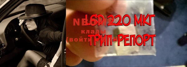 2c-b Алзамай