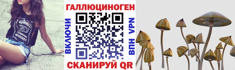 Псилоцибиновые грибы прущие грибы  Кинешма 