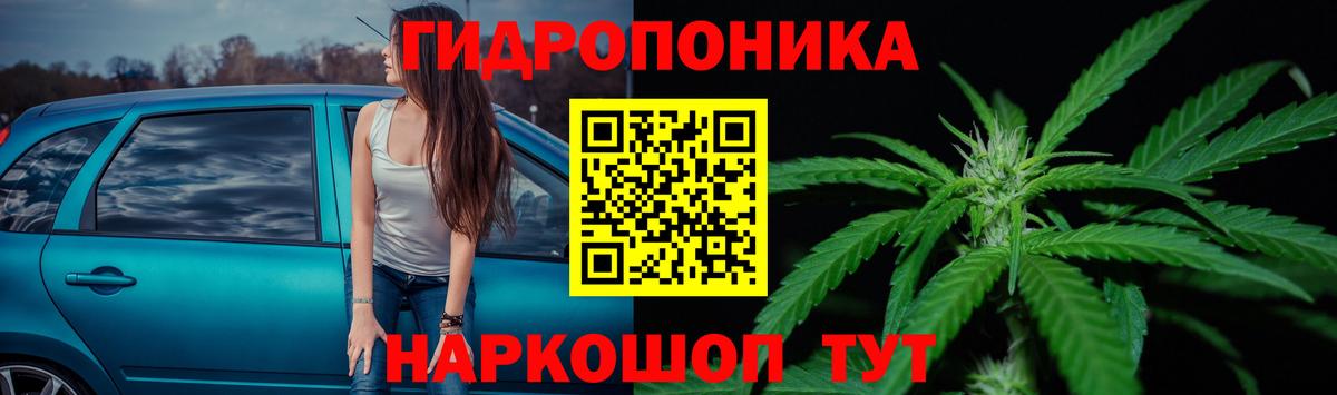 Конопля Ganja  МАРИХУАНА план  Вход с VPN  Бошки Шишки Bruce Banner  Кинешма 